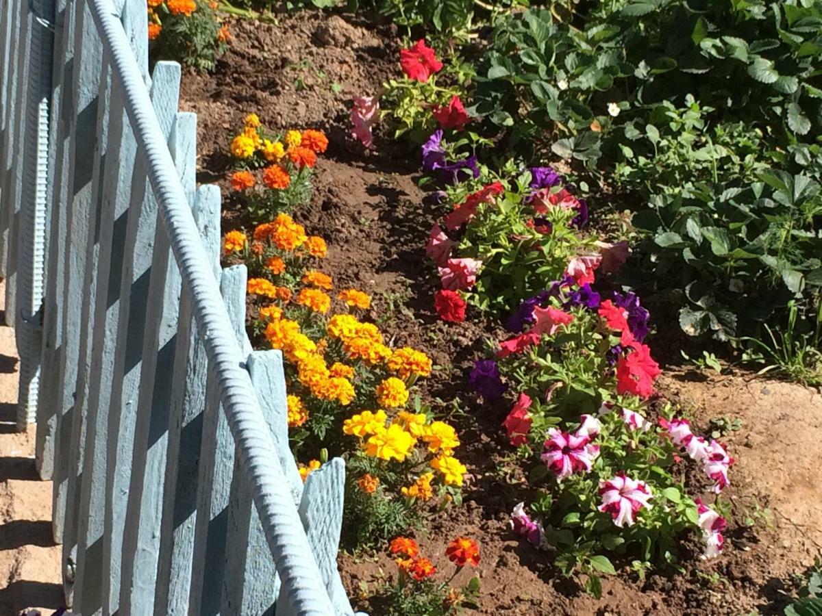 Kaji-Say Eco House Summer Garden מראה חיצוני תמונה
