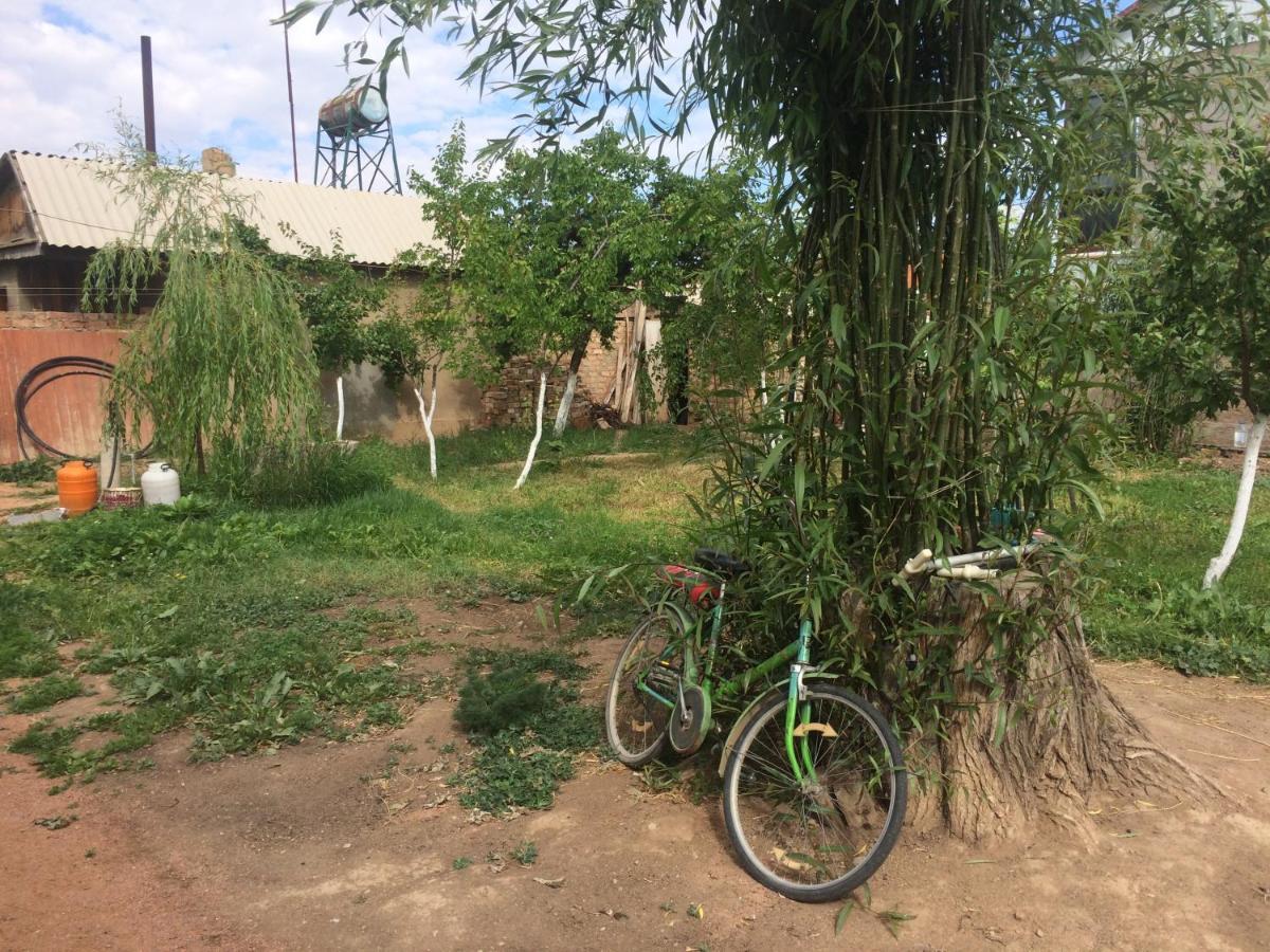 Kaji-Say Eco House Summer Garden מראה חיצוני תמונה